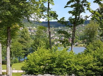 Trail Walking Gérardmer - Gérardmer - cascade de Mérelle puis tour Mérelle - Photo