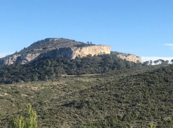 Tocht Stappen Guzargues - Bergerie Reboul - Photo