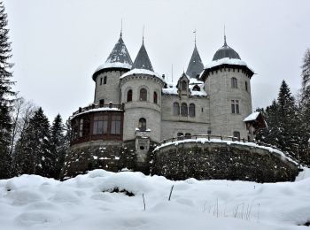 Trail On foot Ayas - (SI F19) Crest - Gressoney-Saint-Jean - Photo