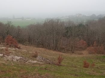 Excursión Senderismo Dégagnac - Degagnac_Poudens Les Vignals La Vignasse 6,5 - Photo