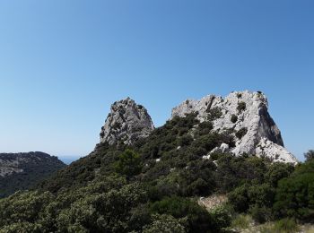 Percorso Marcia Gigondas - Les Dentelles Sarrazines d'Est en Ouest - Photo