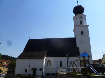 Randonnée A pied Enzenkirchen - Historischer Wanderweg Graf Enzo - Photo