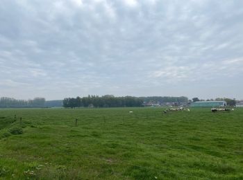 Tocht Stappen Zoutleeuw - Zoutleeuw 16 km - Photo