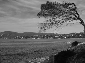 Randonnée Marche Ramatuelle - Ramatuelle - Plage de Gigaro - Pinte du Brouis - Sémaphore ruiné - Photo