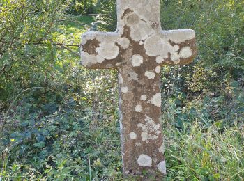 Trail Walking Mounes-Prohencoux - Mounes le circuit du geant - Photo