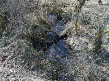 Tocht Stappen Champagnac-la-Rivière - les feuillardiers - Photo