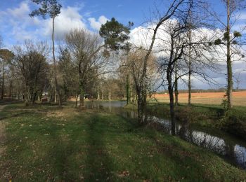 Randonnée Marche Horsarrieu - Boucle d’Horsarrieu - Photo