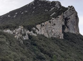 Excursión Senderismo Saint-Mathieu-de-Tréviers - st mathieu vers le pas de la pousterle . - Photo