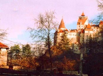 Trail On foot  - Șimon - Poiana Guțanu - Cabana Padina - Photo