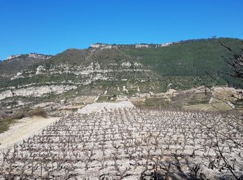 Tour Wandern Pégairolles-de-l'Escalette - Les terrasses de Pégairolles - Photo