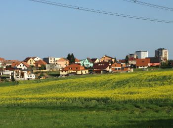 Percorso A piedi Stará Huť - NS Dobří(š) v poznání - lesní okruh - Photo