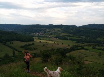 Percorso Marcia Montaigu - Mont des Tartres - Photo