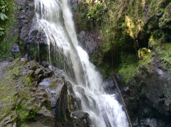 Randonnée Marche Goyave - cascade bras de fort - Photo