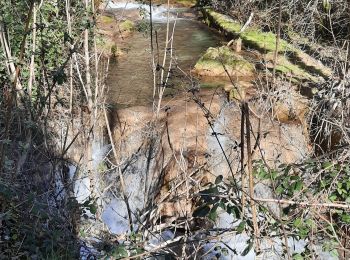 Trail Walking Virieu-le-Grand - cascade de Clairefontaine - Photo