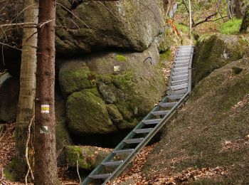 Percorso A piedi Raspenava - NS Oldřichovské háje a skály - Photo