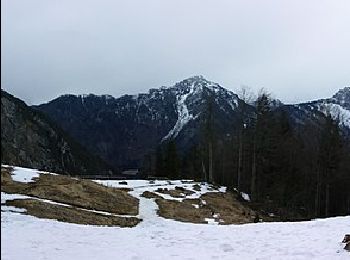 Trail On foot Tarvisio - Sentiero Carlo Chersi - Photo
