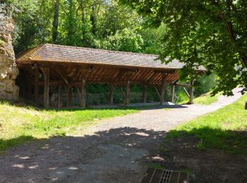 Randonnée Marche Bénouville - benouville - Photo