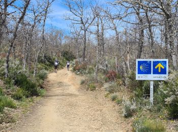 Trail Walking Astorga - Murias Rabannal - Photo