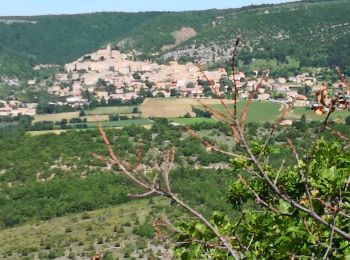 Tour Wandern Banon - Autour du hameau du Largue - Photo