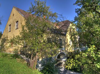 Tocht Te voet Kumberg - Wanderweg 5 - Photo