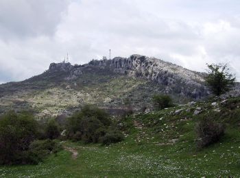 Trail On foot San Vito Romano - Sentiero CAI 506 San Vito - Monte Guadagnolo - Photo