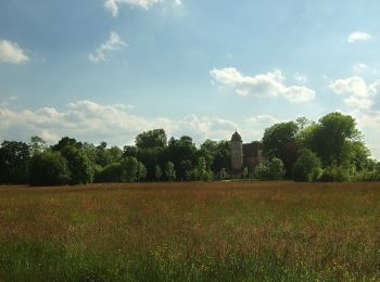 Tour Zu Fuß Gunzenhausen - Alemannenweg - Photo