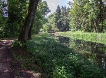 Excursión A pie Sengenthal - Ölkuchenmühle – Winnberg - Photo