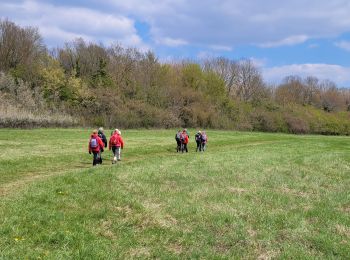 Tour Wandern Boissy-Saint-Léger - 2021-04-14_20h59m50_SityTrail - 2747384 - boissy - Photo