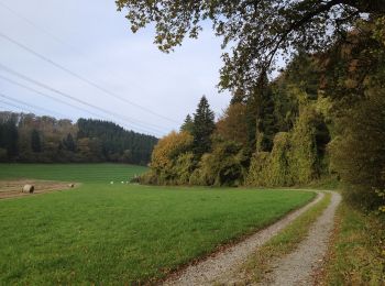 Tocht Te voet Trendelburg - Grenzland-Rundweg 1 - Photo