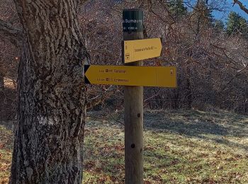 Randonnée Marche Entrevaux - Bas-Agnerc Le Pelau - Photo