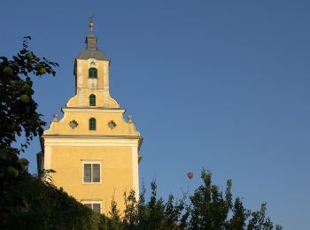 Tour Zu Fuß Stubenberg - Geierwandweg (23) - Photo