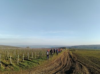 Randonnée Marche Essômes-sur-Marne - Essômes-sur-Marne du 23-12-2021 - Photo