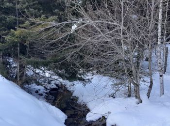 Tocht Sneeuwschoenen Génos - Val Louron raquettes - Photo