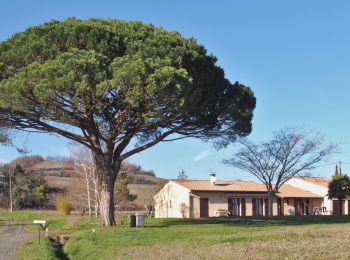 Randonnée Marche Gaillac - Les Hauts de Gaillac revisités  - Photo