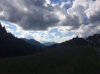 Tocht Te voet La Val - Wengen - La Valle - IT-2 - Photo