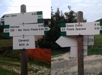 Percorso A piedi San Zeno di Montagna - Sentiero Natura Pineta Sperane - Photo