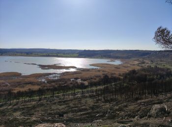 Tour Zu Fuß Port-de-Bouc - Forêt de Castillon Etangs de Pourra et d’Engrenier - Photo