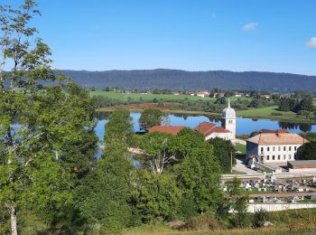 Tocht Stappen Grande-Rivière-Château - GR_559_AE_05_Grande-Riviere-Chateau_Hauts-Bienne_20210918 - Photo