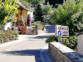 Percorso Marcia Vianden - Randonnée au  Natuurpark à partir de Vianden - Photo