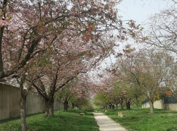 Percorso Marcia Sézanne - Sézanne, du centre ville à la campagne - Photo