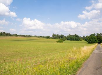 Randonnée A pied Beverungen - Galgenberg-Drenke-Selsberg - Photo