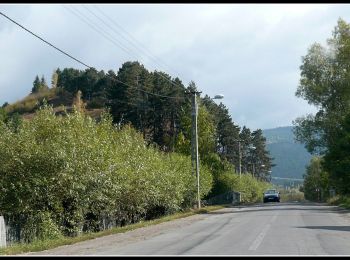 Trail On foot Gheorgheni - oraș Gheorgheni - Vf. Ciser - Vf. Șipoș - Photo