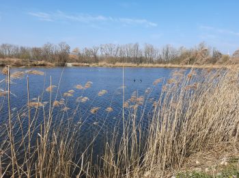 Randonnée Marche Geer - Hollogne sur geer  - Photo