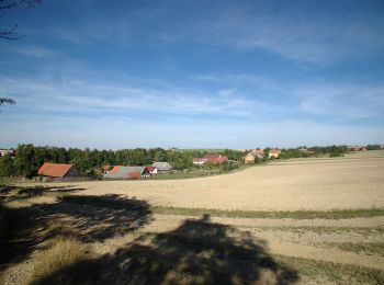 Excursión A pie Potštát - NS Potštát - Photo