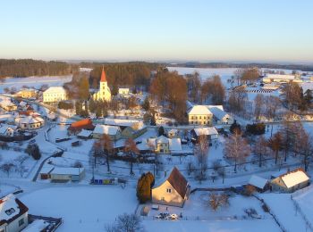 Tour Zu Fuß Kostelní Radouň - Naučná stezka Čertův kámen - Photo