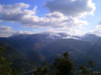 Tocht Te voet Laudio/Llodio - Ganekogorta - Santa Lucía / Santa Luzia - Photo