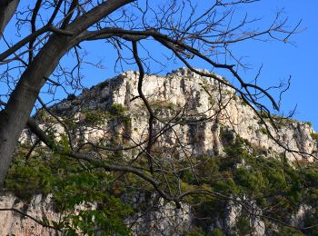 Randonnée Marche Saint-Jeannet - St Jeannet - Baou de St Jeannet - Bau de la Gaude - Gros Chêne - Photo