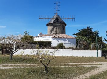 Excursión Senderismo L'Île-d'Yeu - île d Yeu - Photo