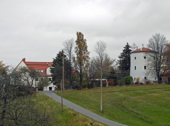 Excursión A pie Steina - Rundwanderweg Gelber Punkt Ohorn - Steina - Luchsenburg - Photo