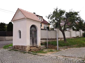 Excursión A pie Sušice - NS Sušická pavučina - stříbrná - Photo